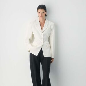 Aritzia Babaton Standout Blazer